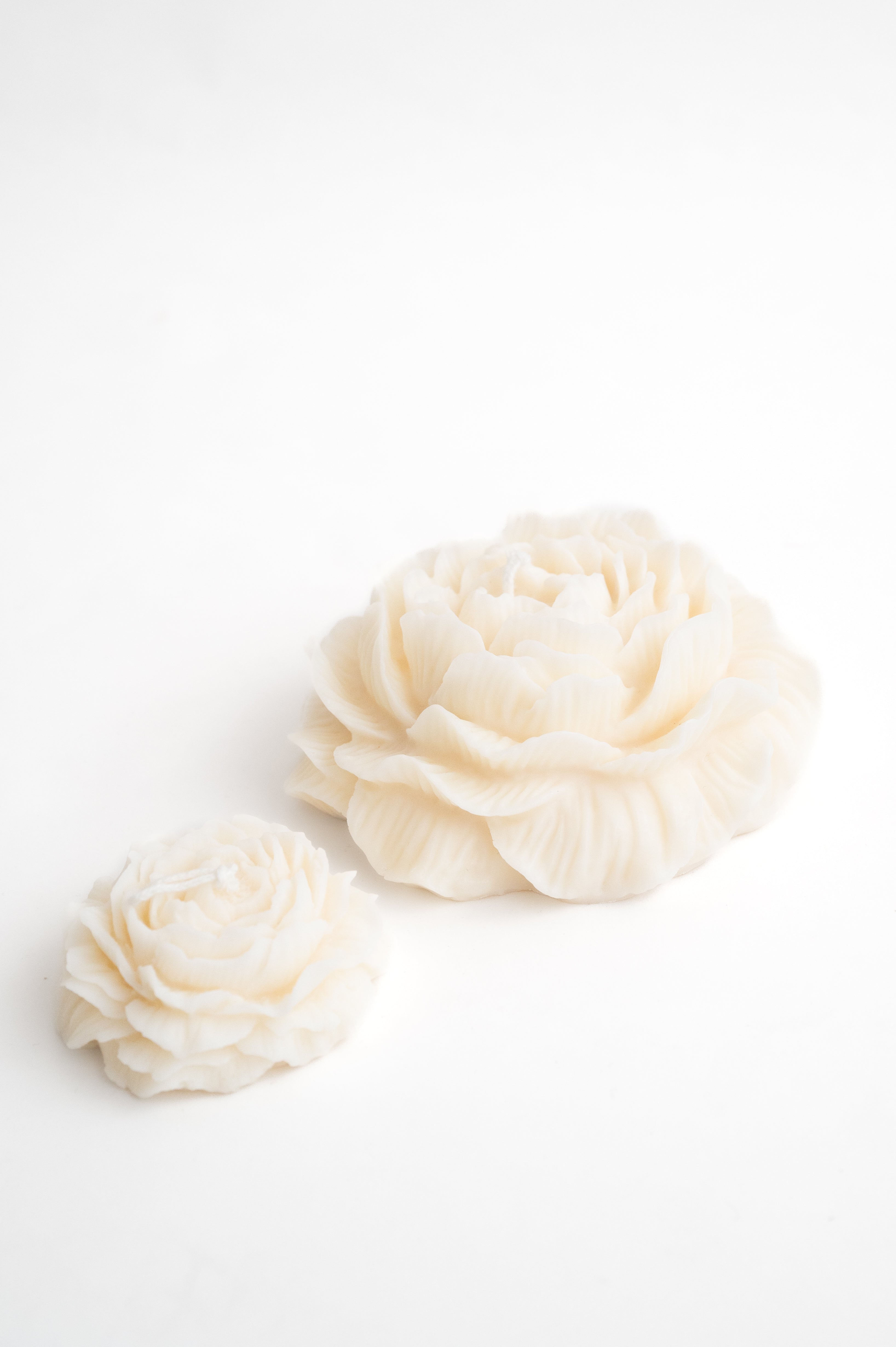 Geschenkebox Romantica