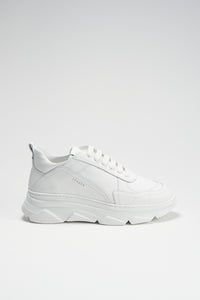 CPH40 vitello white